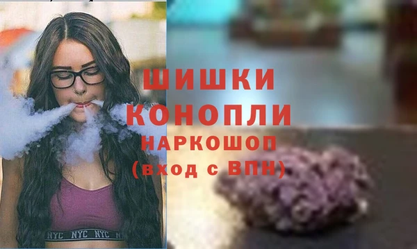 гашик Аркадак