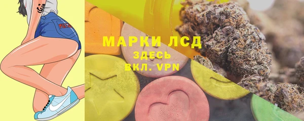 гашик Аркадак