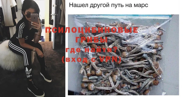 гашик Аркадак